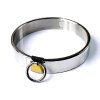 Female Luxury Stainless Steel Heavy Duty Collar with Brass Lock Joints