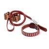 High quality leather collar with traction leather chain - red